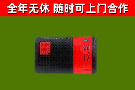 塔城市回收阿胶
