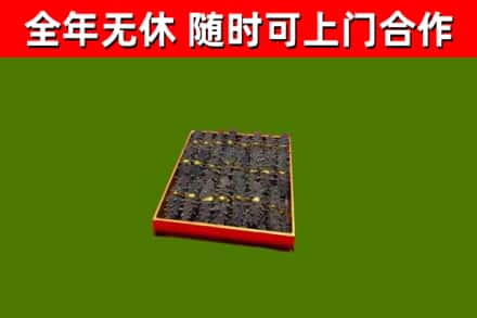 塔城市回收海参
